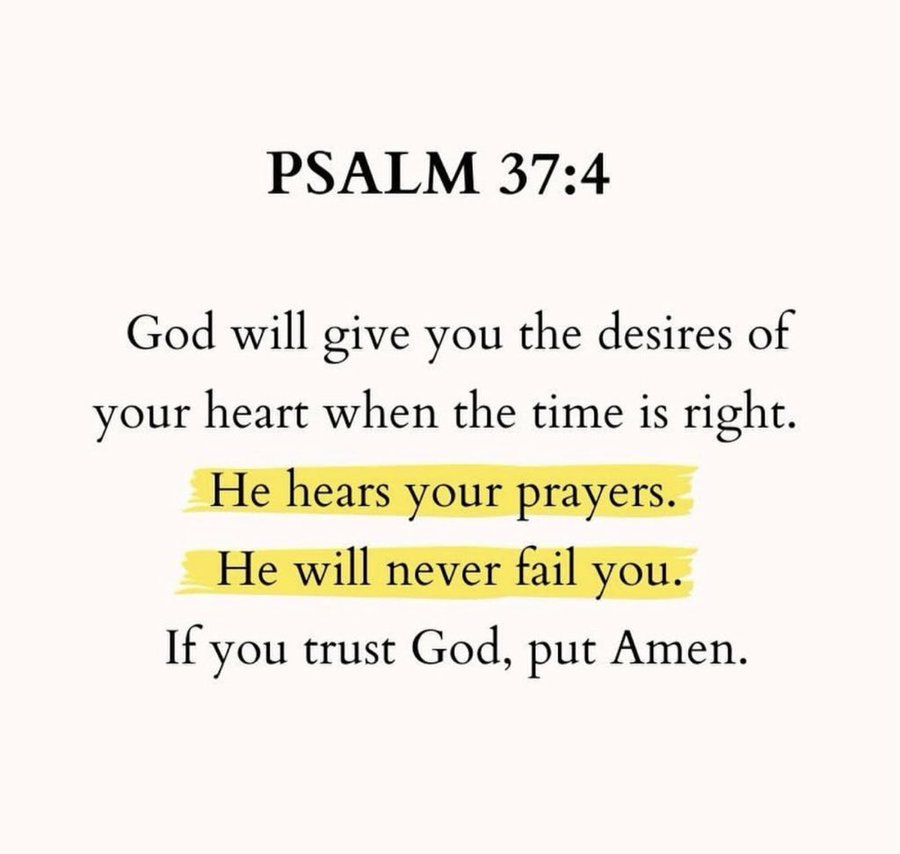 Bible 365 tweet media