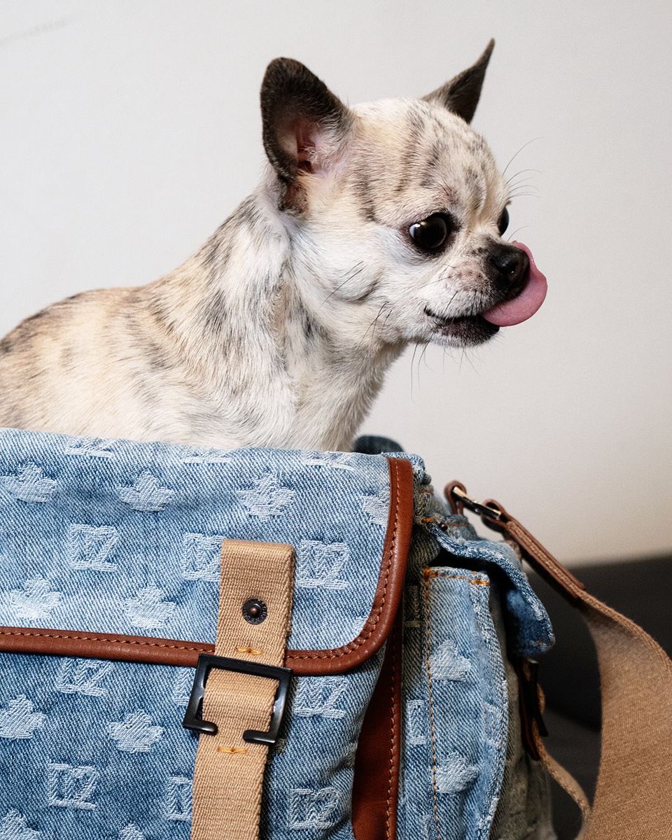 DSQUARED2 tweet media