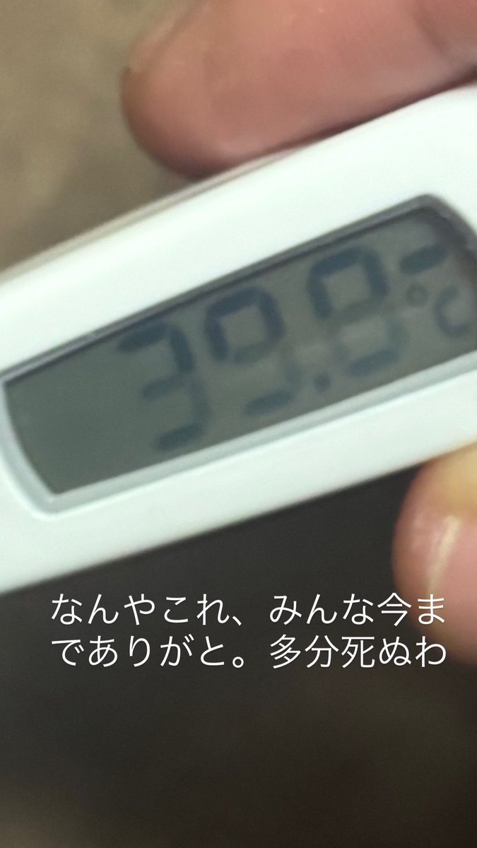 ぺん茶　FLs🫶 tweet media