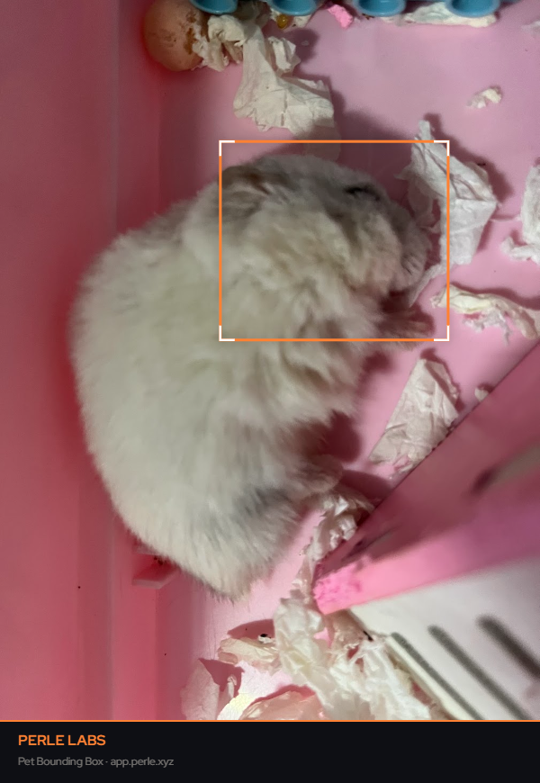 takashima13a's tweet photo. @PerleLabs Hamster go winter uiwne https://t.co/0DcVv0x6mI