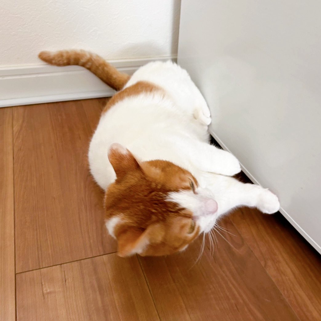 も&もちもな tweet media