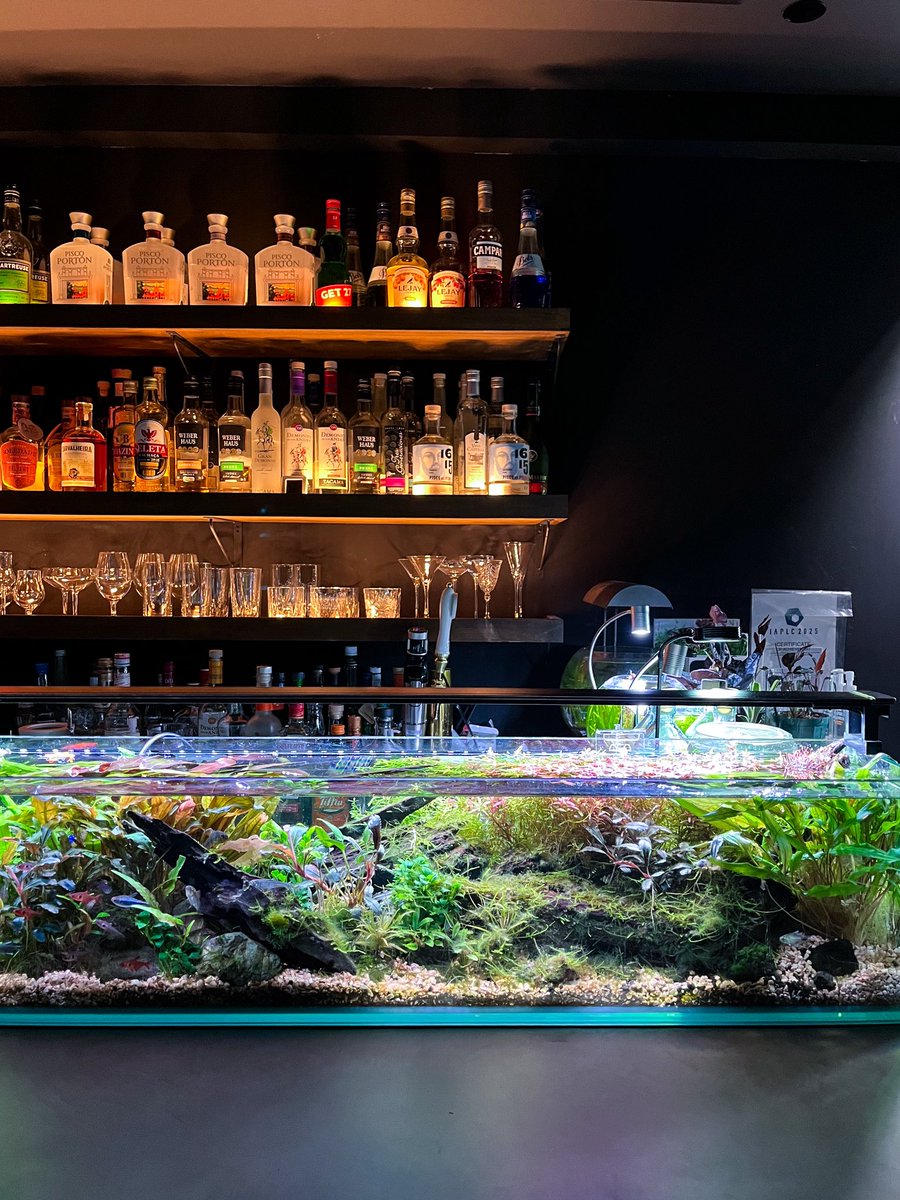 ナギオ@BAR AQUA CAVE tweet media