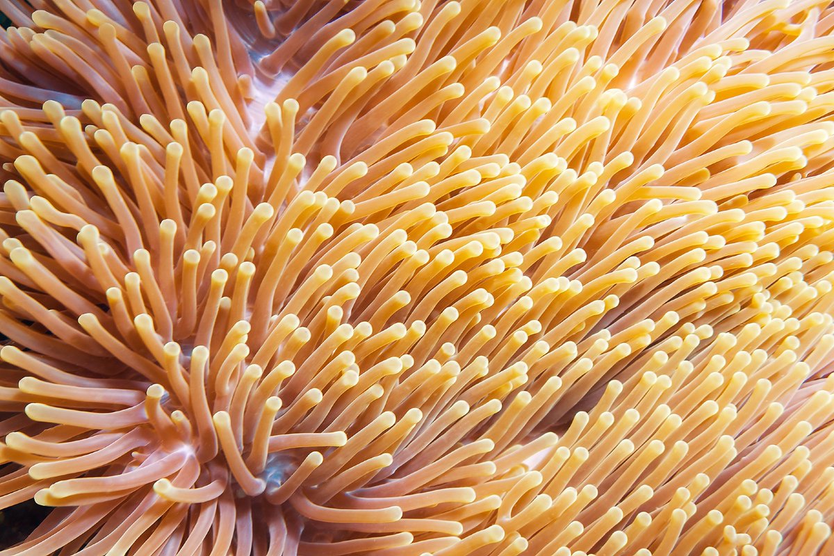 AZoRobotics tweet media