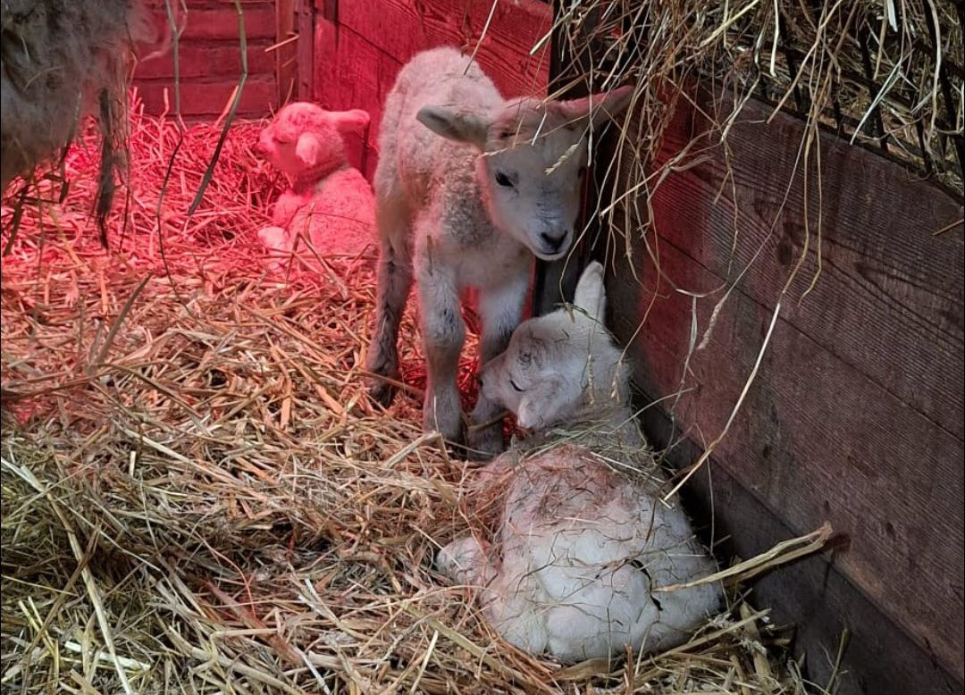 VisitTiel tweet media