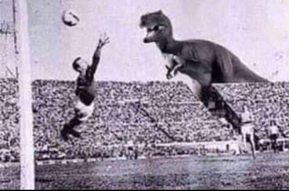 العنزي🇸🇦🤍🖤 tweet media