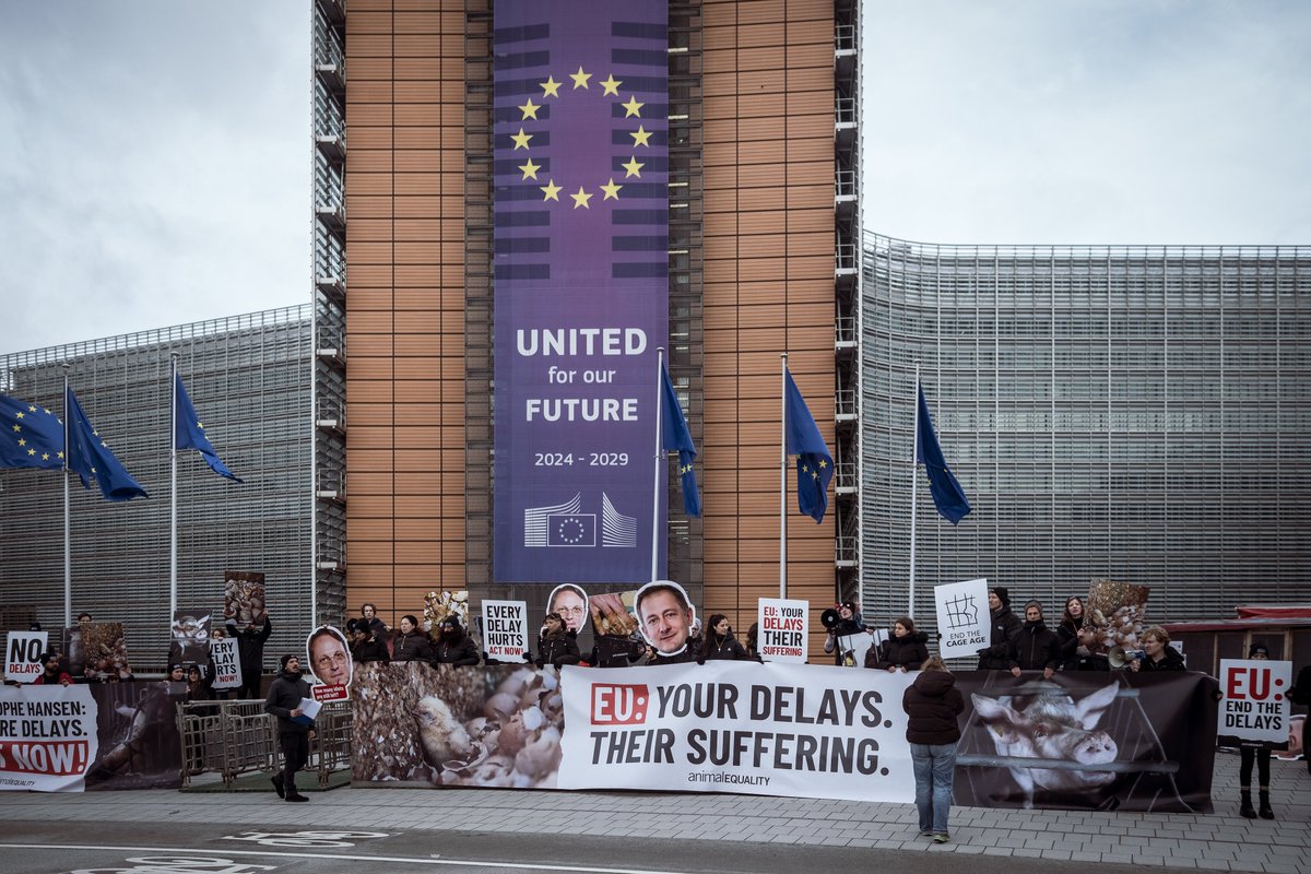 John Armstrong tweet media