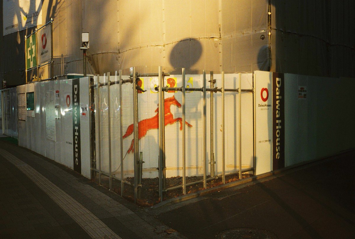 PPC | Punctum Photo Curation (@Punctumcuration) / Posts / X