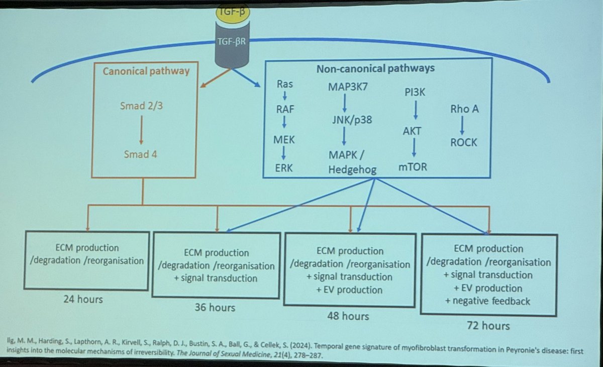 Matthew Megson (he/him) tweet media