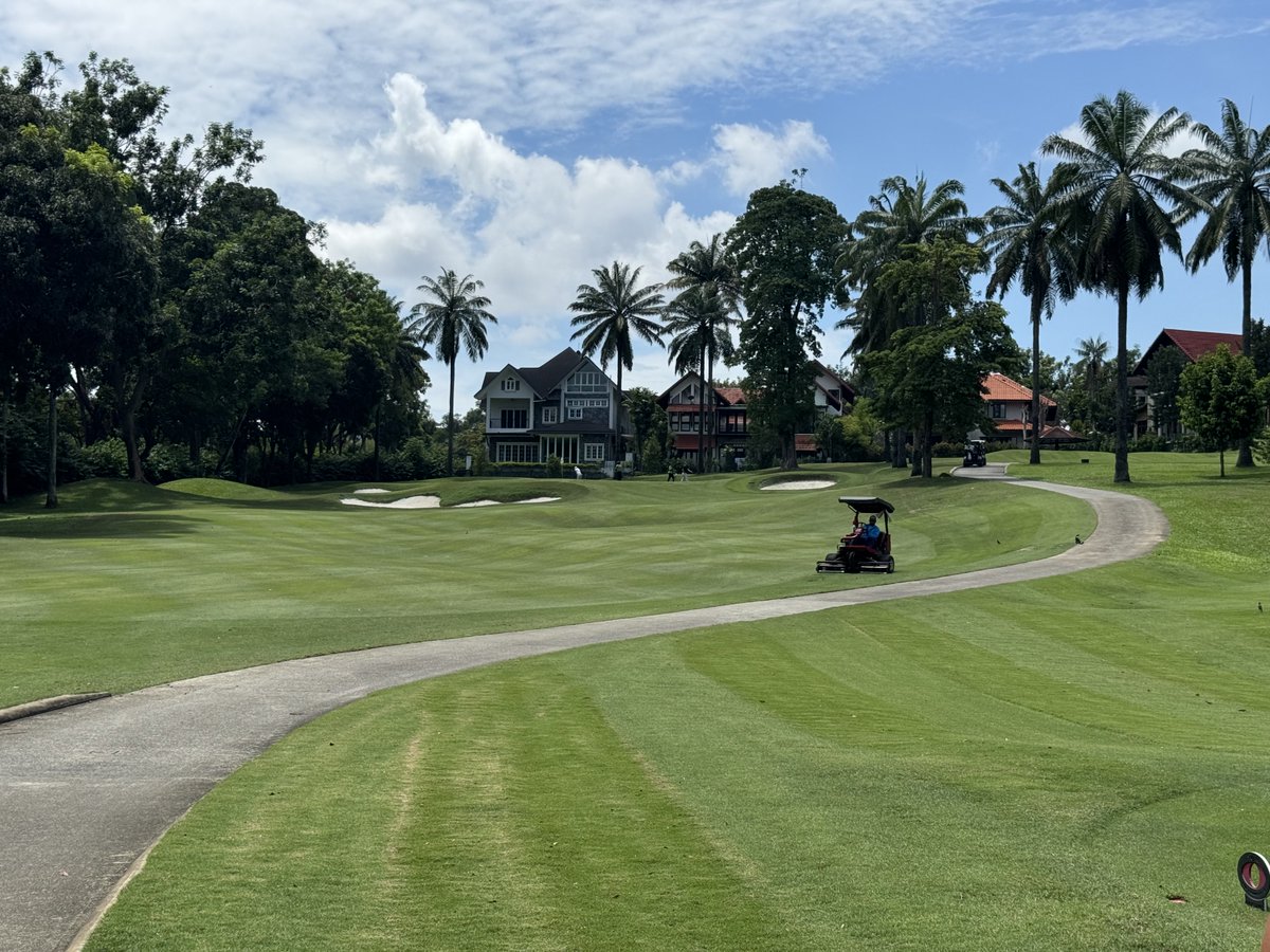 Rex Tattersall tweet media