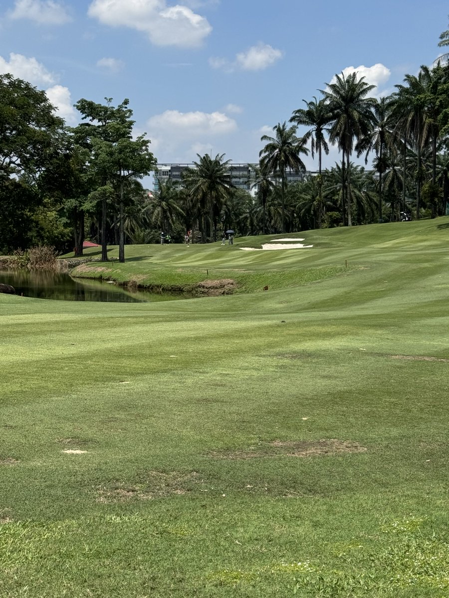 Rex Tattersall tweet media