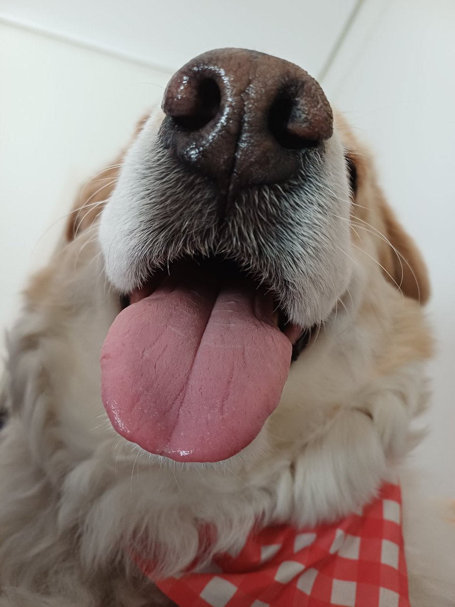 Σε περιπτωση που η μερα σας παει 💩 ⬇️ #Λεμονια