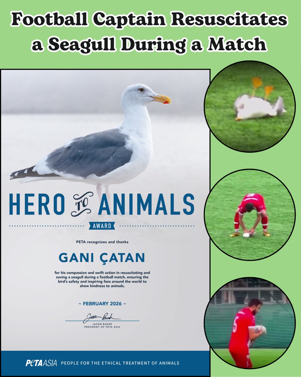 PETA Asia tweet media