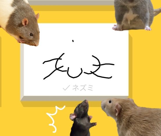 kinaxcamera's tweet image. なんで鼻だけ描いてネズミって分かったの？？私のファンなの？？
How did you know it’s a rat just by the MUZZLE part?? Are you like… my fan or something??
#QuickDraw