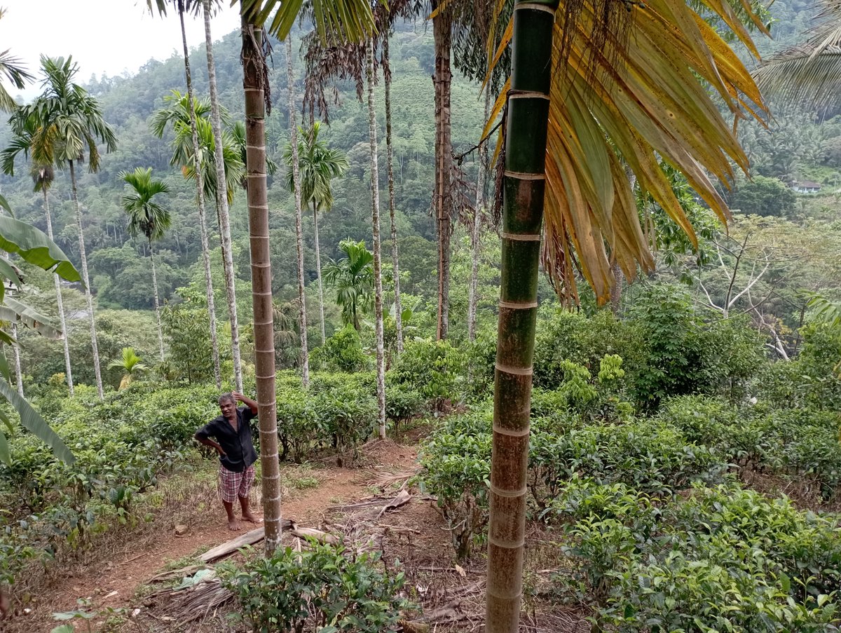 War on Want tweet media