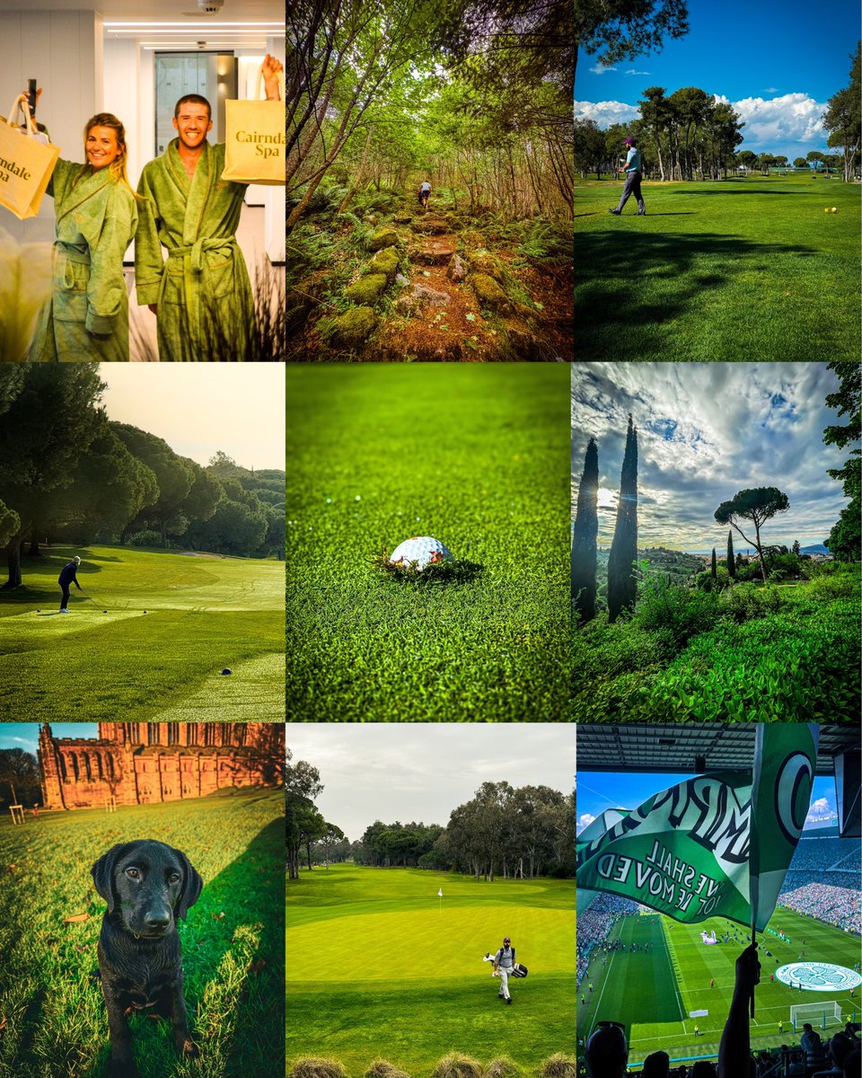 Talking Parrot Creative tweet media