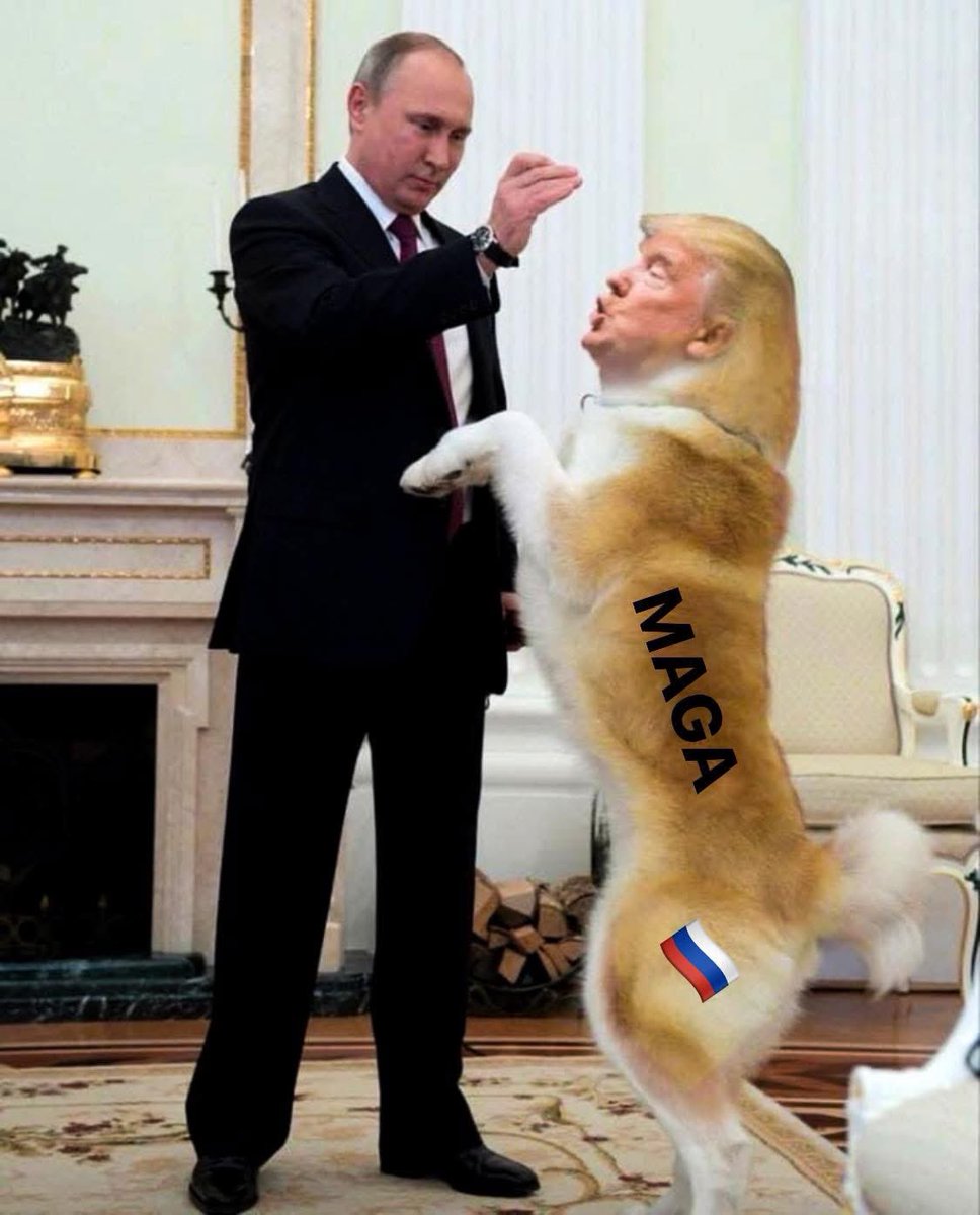Gianl1974's tweet image. #SOTU

Sorry to all dogs out there.