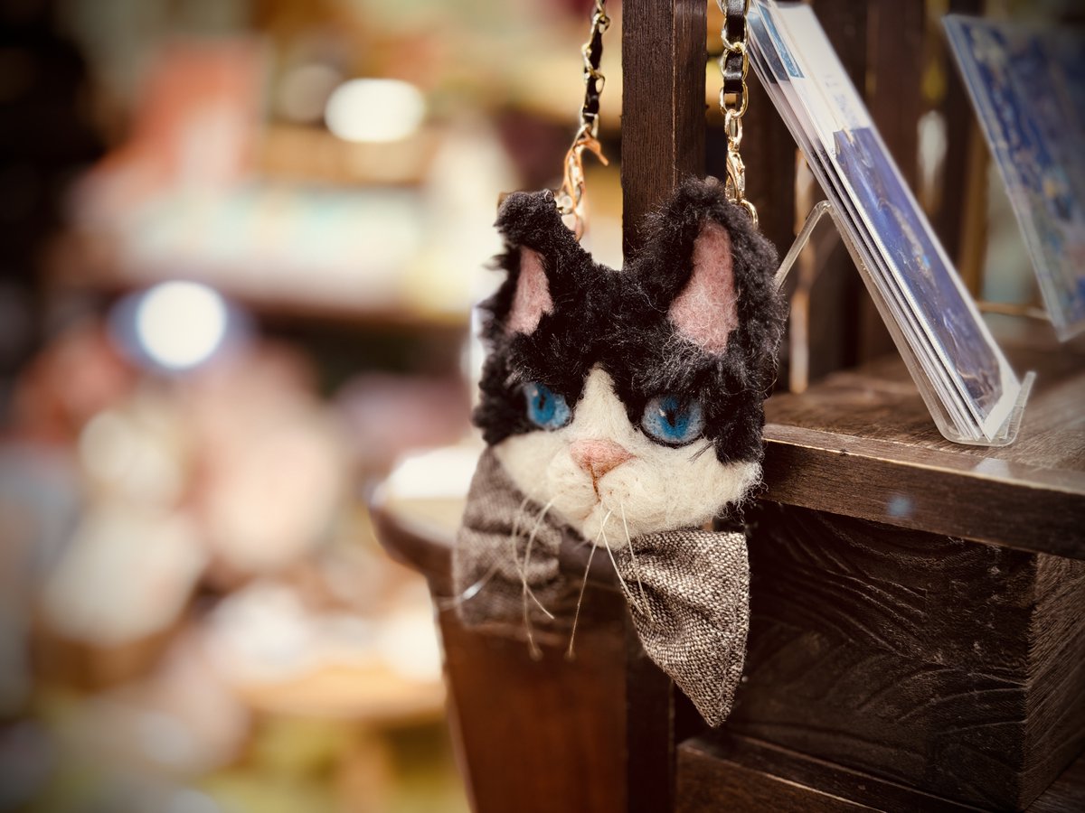 ハイカラ雑貨店ナツメヒロ本日は閉店のお時間です。
企画展『猫展-二月のネコスキー2026』会期はラスト3日間！明日明後日は19時まで、最終日3/1(日)は17時閉店ですのでお気をつけ下さい。
明日も12時より東林間にてお待ちしています🎩🐾
#二月のネコスキー
