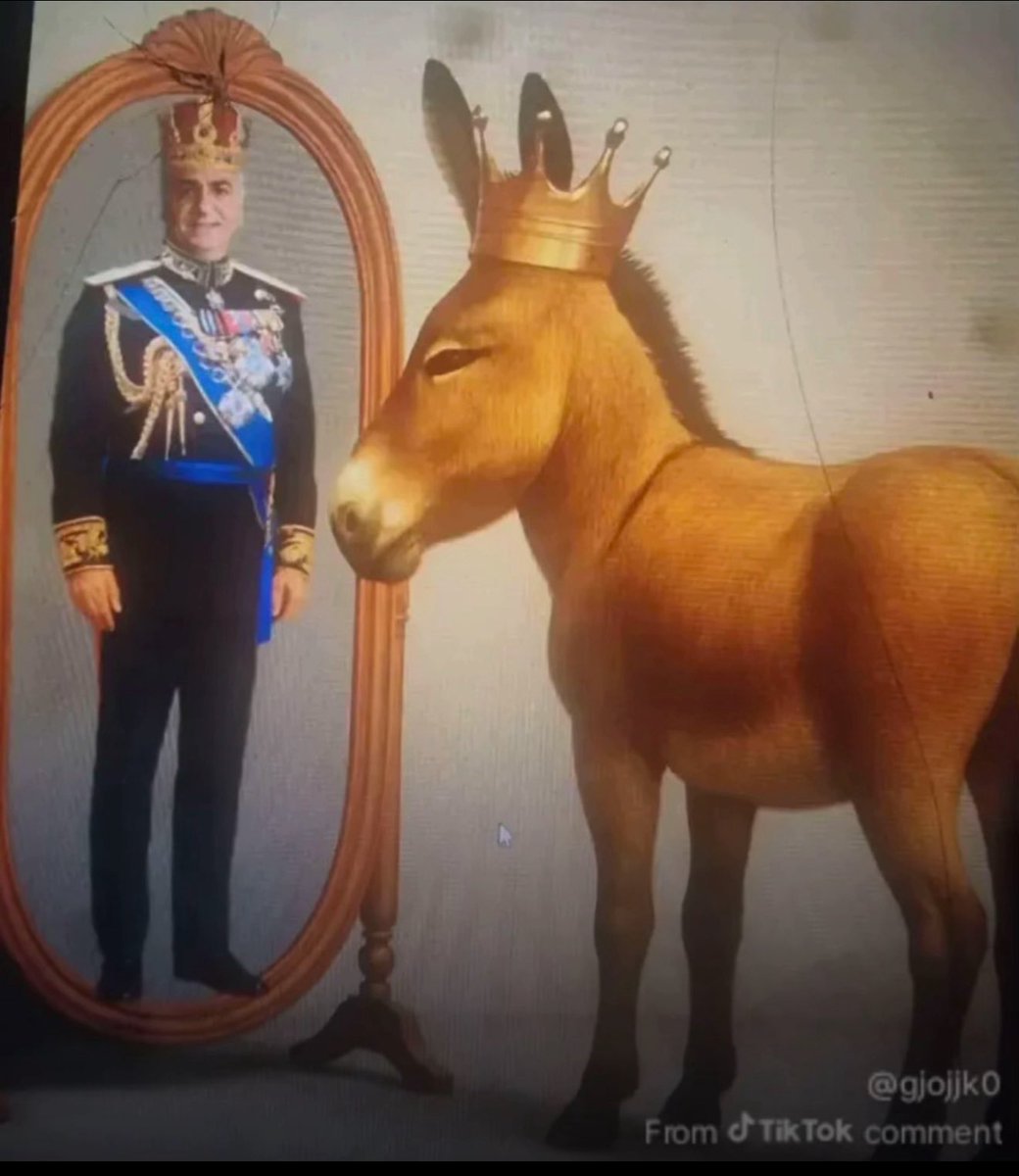 Gladiator 🥷🏻 tweet media