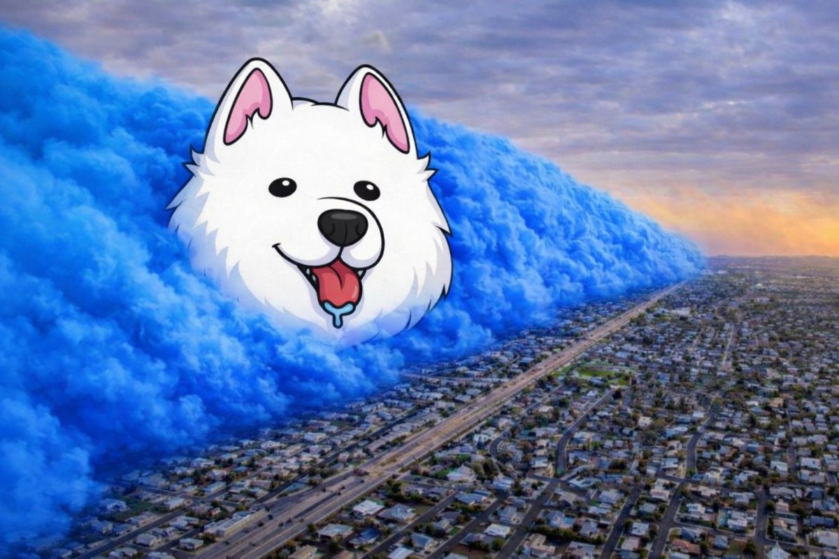 Samo season starts now.