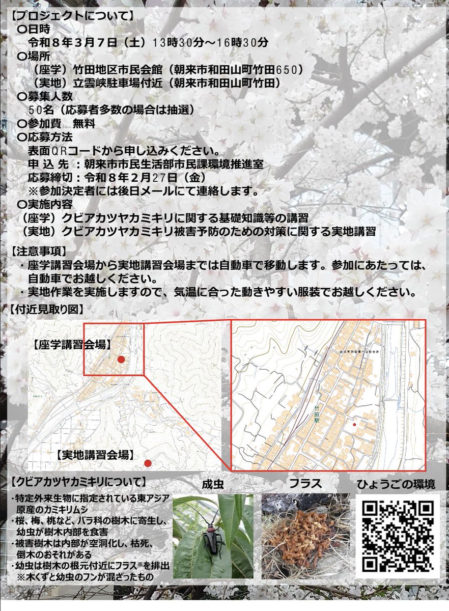ryuiki_net's tweet photo. クビアカツヤカミキリ（特定外来生物）
の予防対策講習があります　朝来市、2026/3/7

現在川西市でもクビアカツヤカミキリが確認され
対策が急がれます https://t.co/PH0eYC7n9H