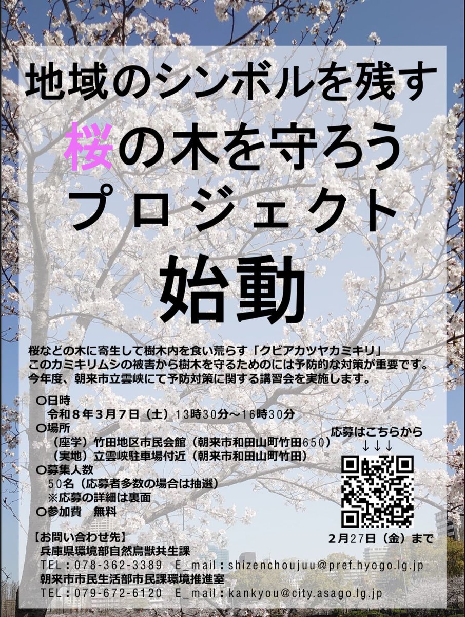 ryuiki_net's tweet photo. クビアカツヤカミキリ（特定外来生物）
の予防対策講習があります　朝来市、2026/3/7

現在川西市でもクビアカツヤカミキリが確認され
対策が急がれます https://t.co/PH0eYC7n9H
