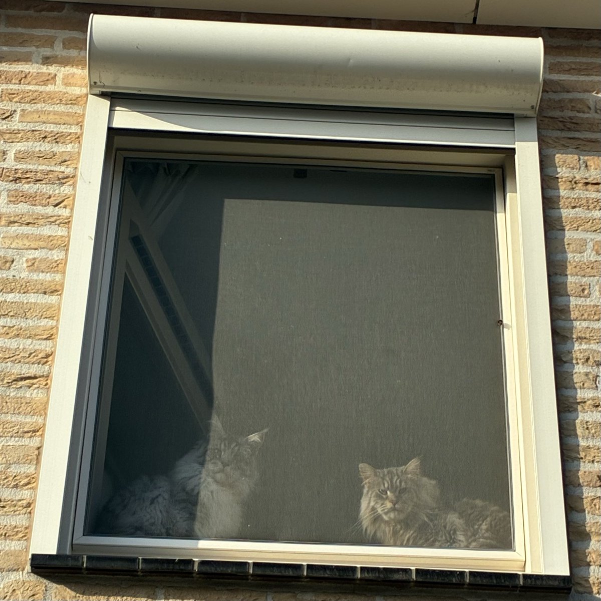 Ma®️ty tweet media