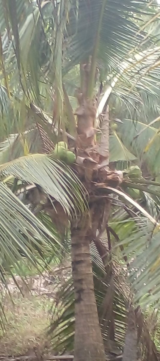 Fire Department tweet media