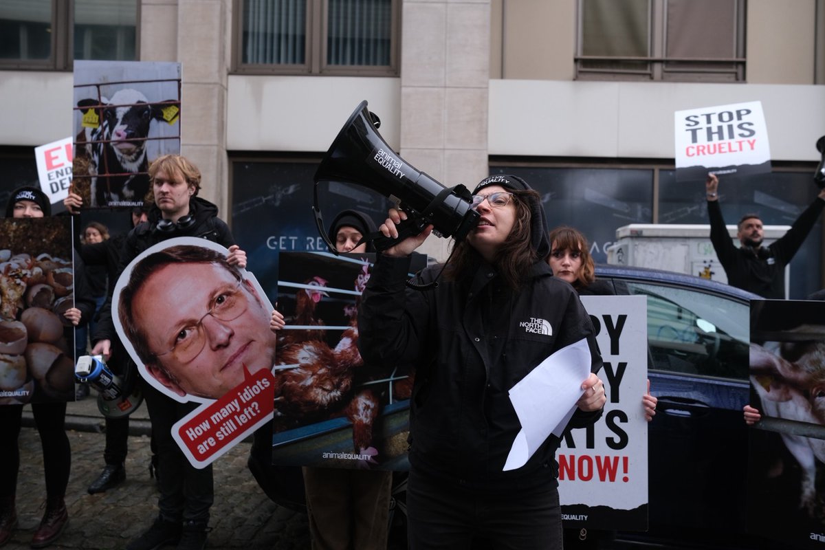 nerinni's tweet photo. We are not asking anymore.

We already asked.

Now we watch to ensure the citizens’ mandate, and your public commitment, are respected.

EU Animal Welfare Revision. Now.

@OliverVarhelyi @CHansenEU @EU_Commission

#EUYourDelayTheirSuffering https://t.co/sRBIWXmOfI