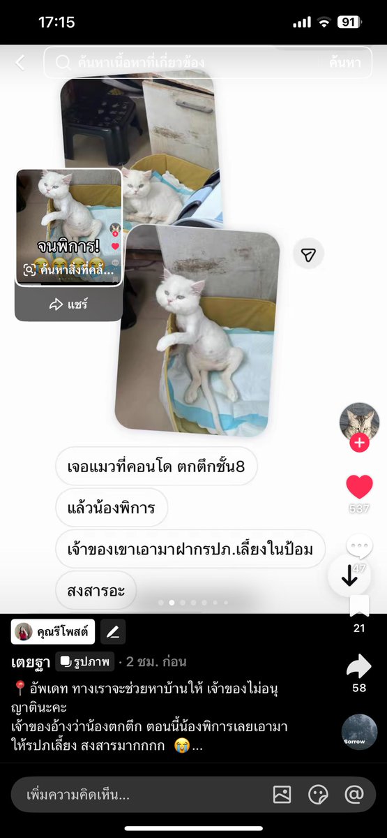 เห็นในตต.ละเศร้า เจ้าของเลี้ยงไม่ดี ก็ปล่อยให้เปิดรับเคสหาคนพร้อมมาเลี้ยงต่อเถอะ ไม่ใช่บอกหมดค่ารักษาไปเยอะแต่ไม่ให้ใคร