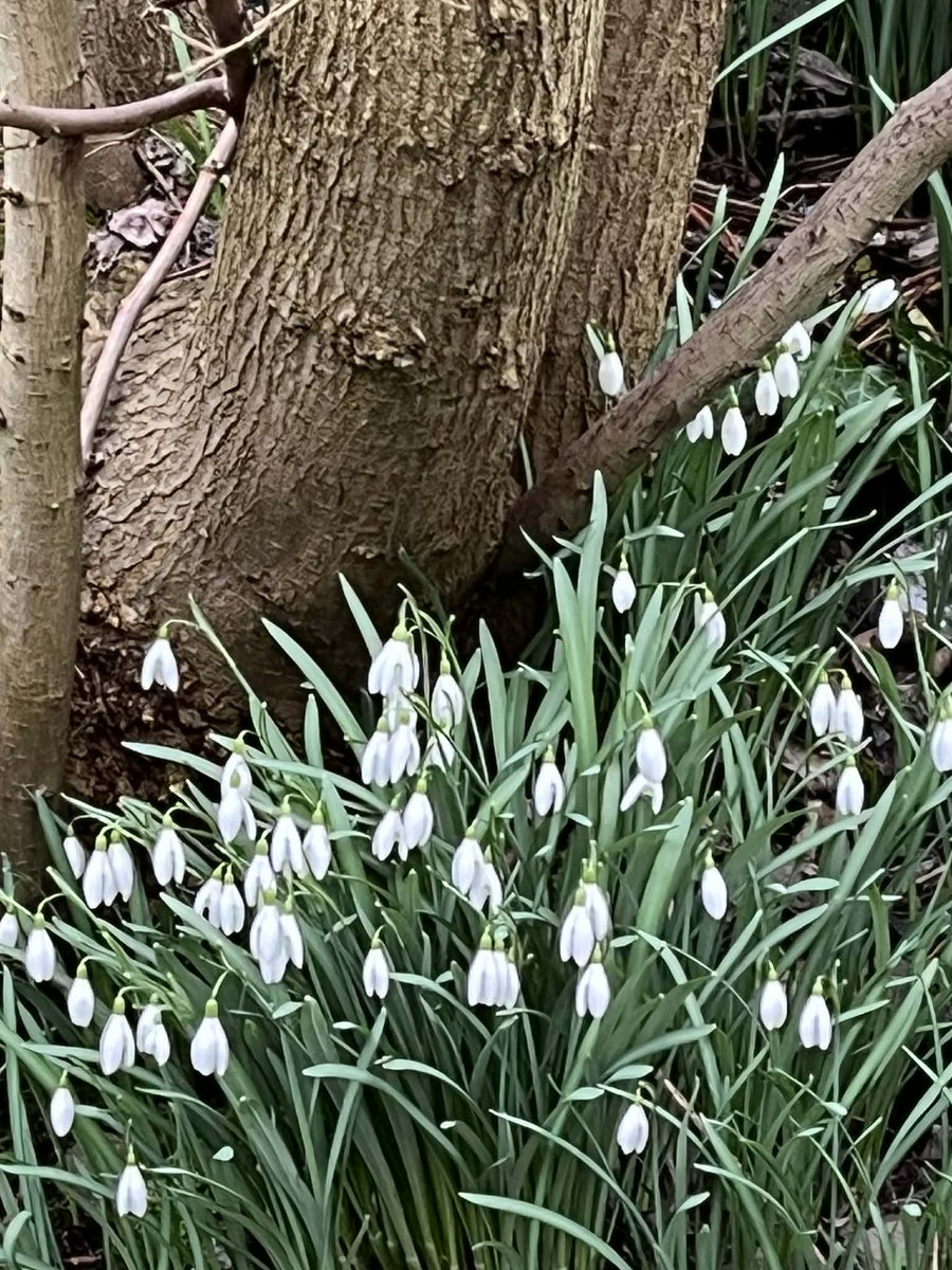 Lari Don tweet media