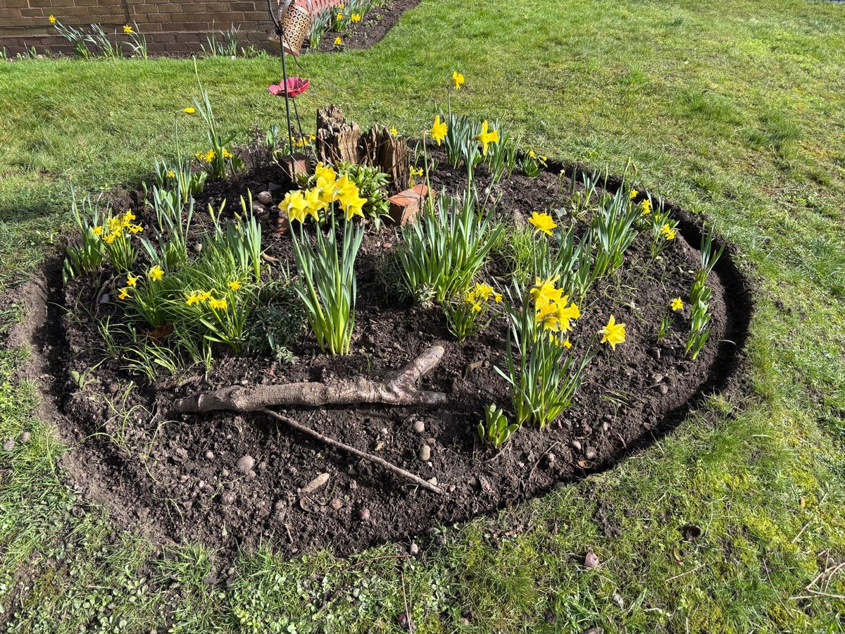 Lench's Trust tweet media