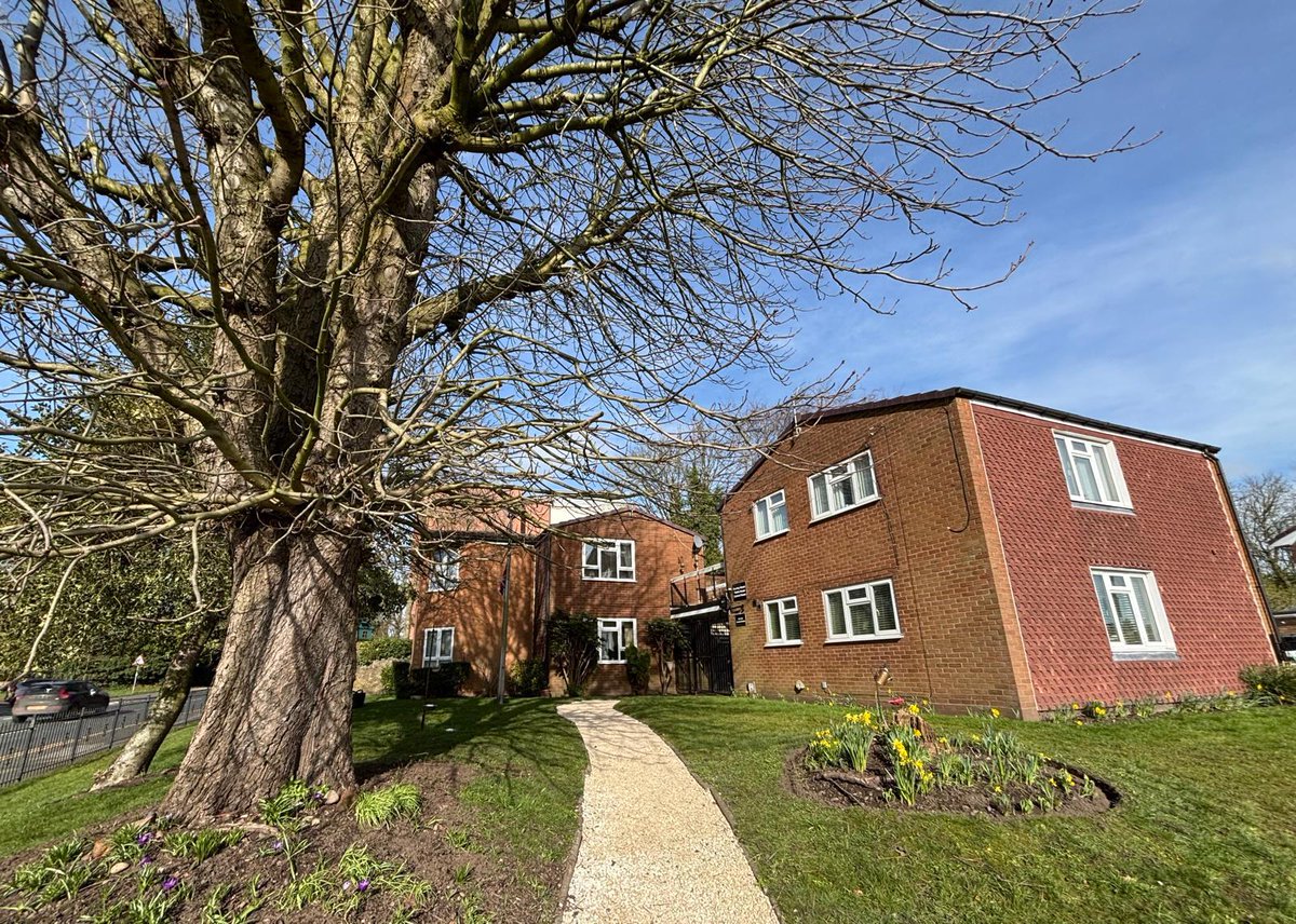 Lench's Trust tweet media