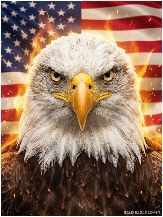 JamesHu27192912's tweet photo. I Pledge Allegiance to the Flag Of The United States of America and to the Republic For Which It Stands, One Nation Under God, Indivisible, With Liberty and Justice for All. God Bless America! #OustTreasonousPoliticians #SecureOurBorder #PatriotsForUnity #MAGA #TRUMP✊🏼🩸🇺🇸🇺🇸🇺🇸 https://t.co/Wog2WvJAMT