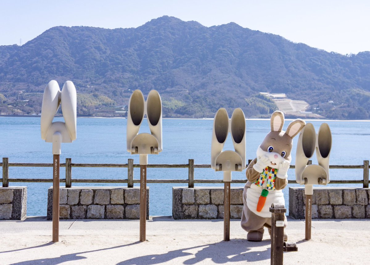 どんちゃん (@Donn_Chann) / Posts / X