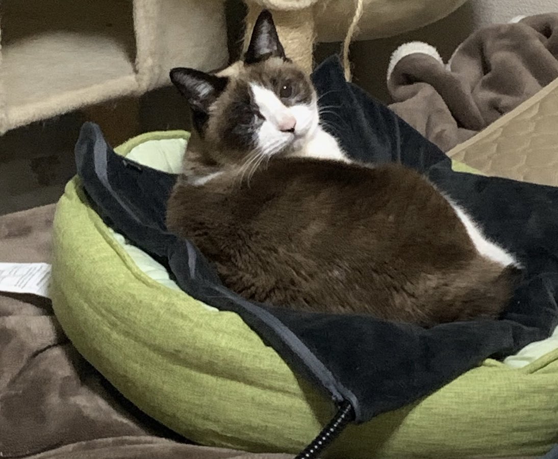 可愛いですよね〜(*´ｰ`*)

ちょっと焦げ過ぎちゃいましたが😆
14年かけてジックリ焼き上がりました。