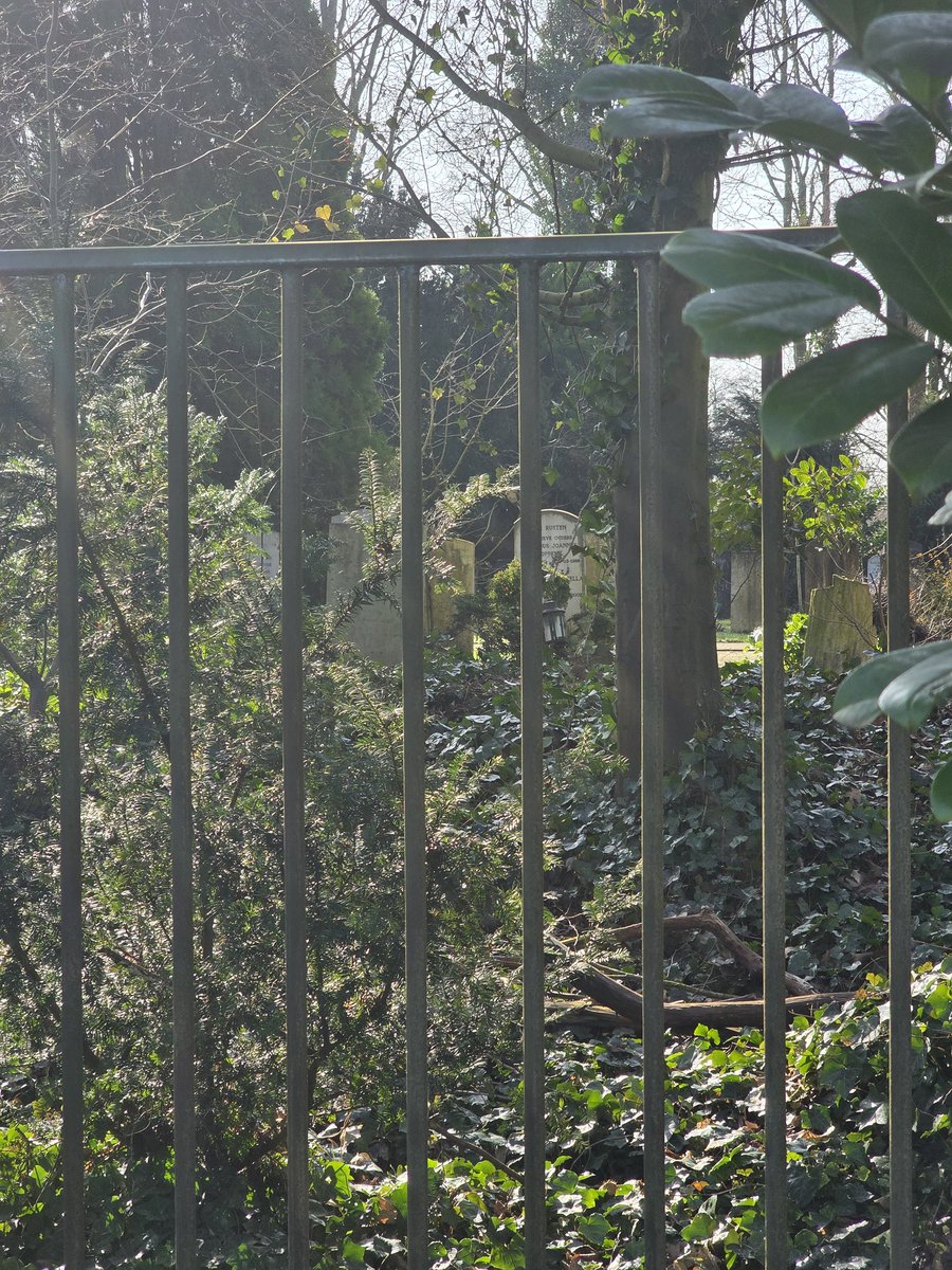 The Dutch Idol Community tweet media