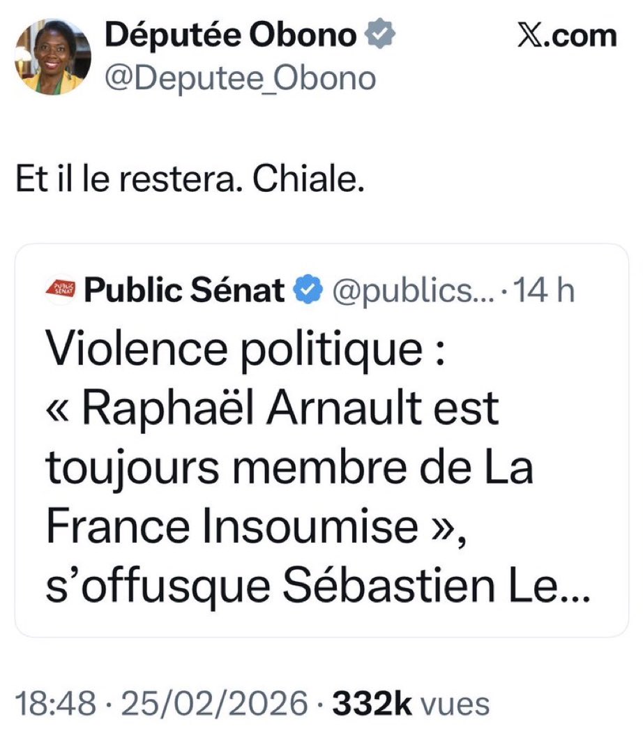Je travaille avec des enfants de 11 ans issus de quartiers populaires et ils ont plus de vocabulaire que les députés Insoumis. Juste des racailles payées 7 000€/mois.