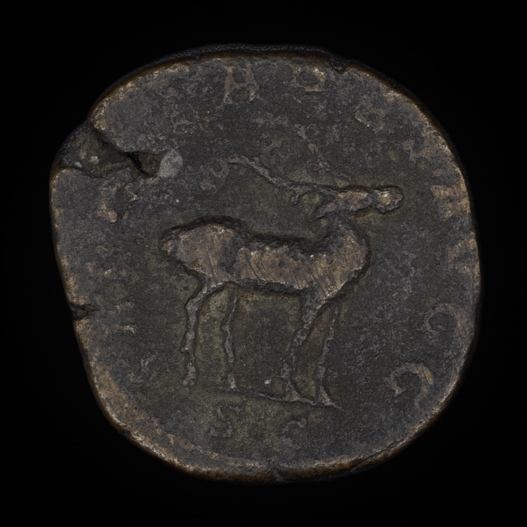 Sashaooting's tweet photo. Not in the best condition, but definitely one I will miss. A Roman sestertius of Philippus I. with a SAECVLARES AVGG reverse featuring a stag https://t.co/UZbOpwIy1R