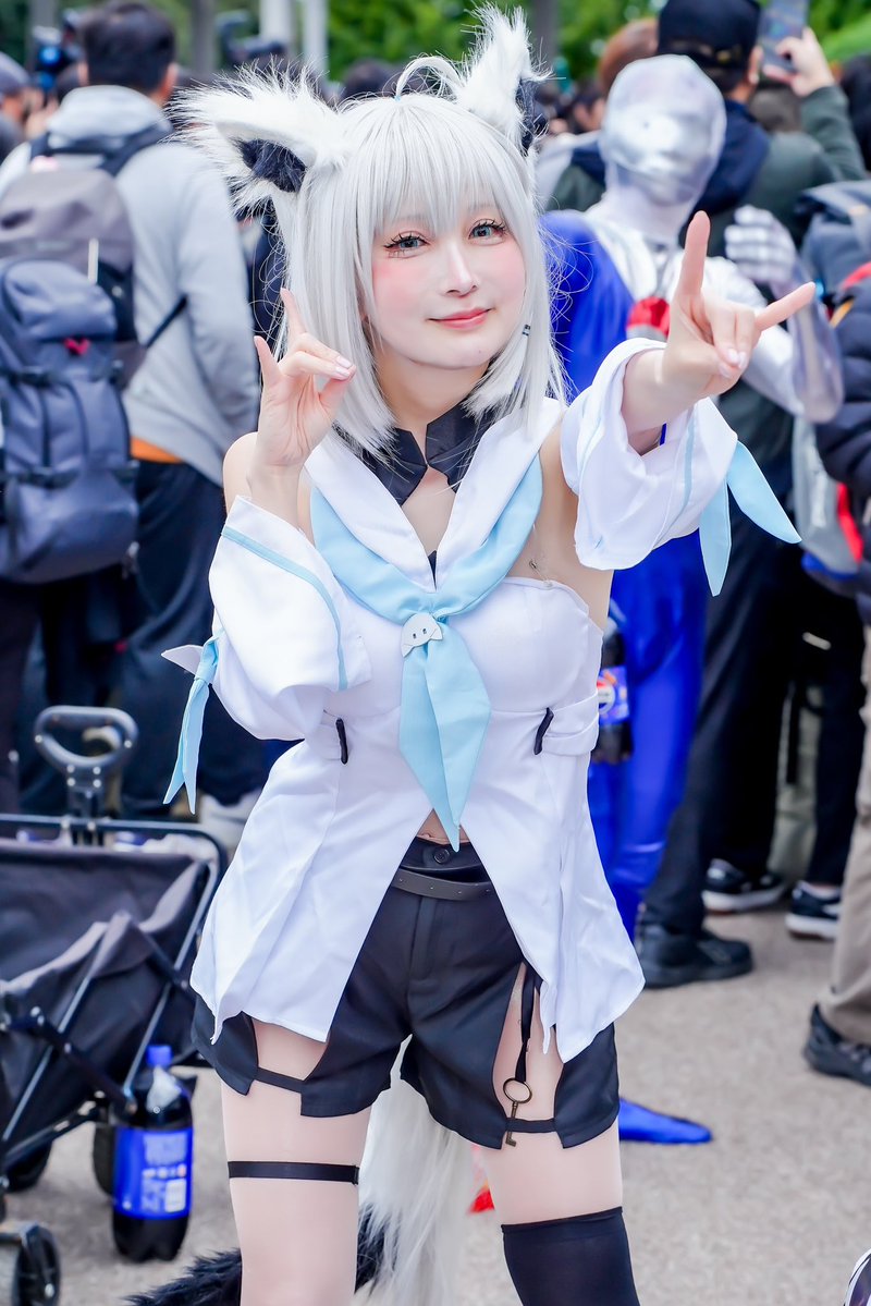 やんやん(yanyan) 2/7-8🇹🇼FF、ラグコス2/21-22 (@yanyan8242