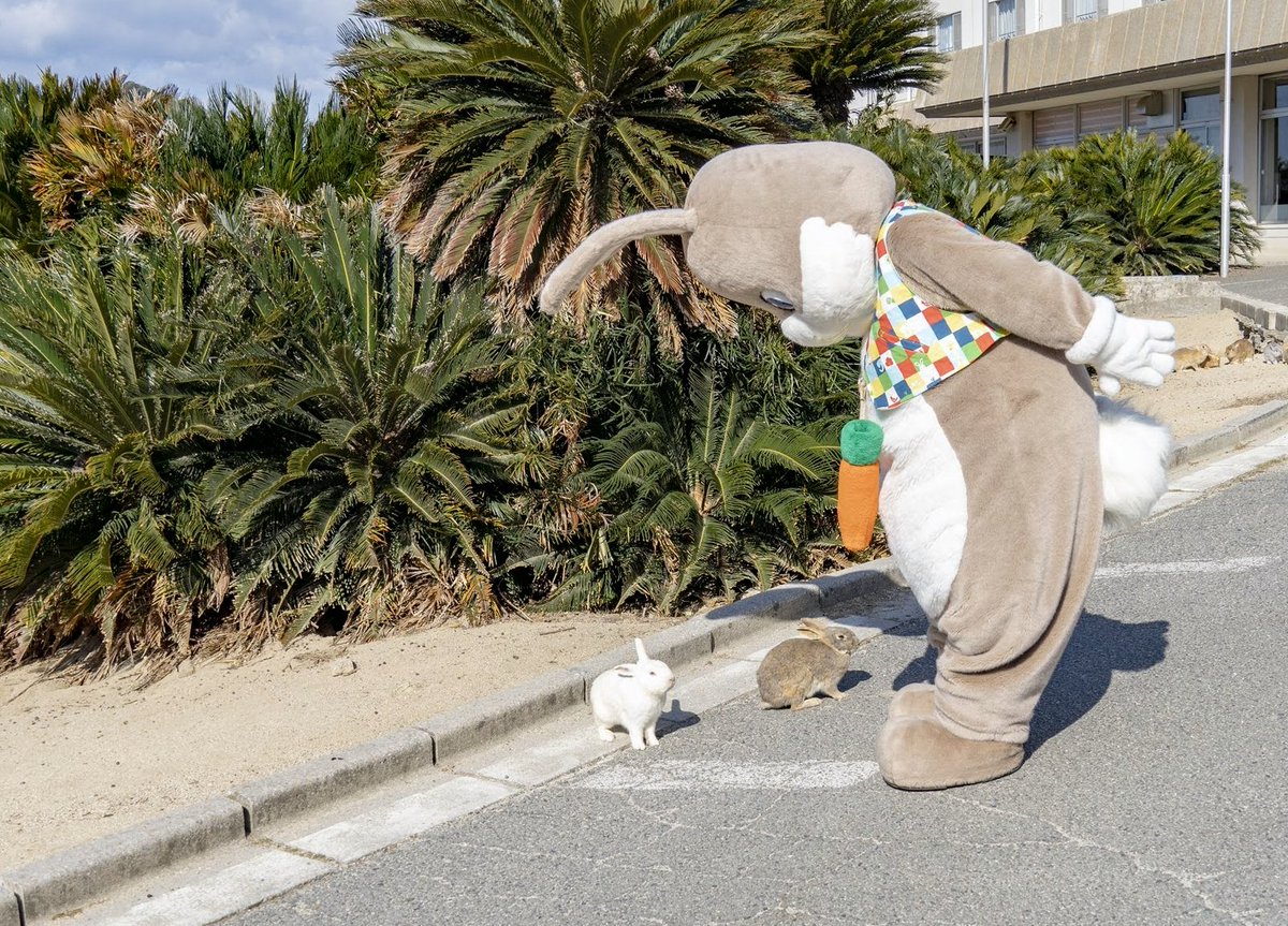 どんちゃん (@Donn_Chann) / Posts / X