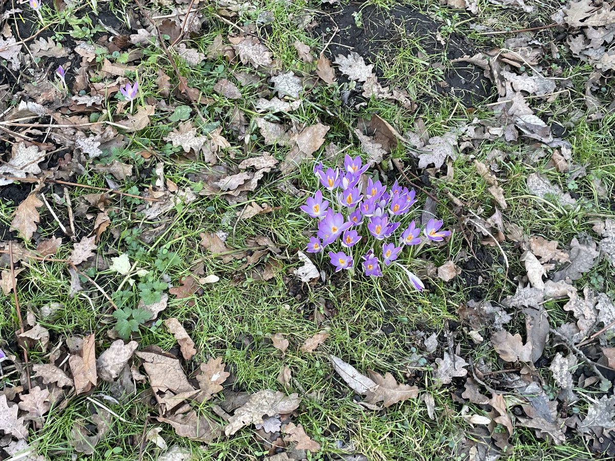 SohelTheAnalyst tweet media