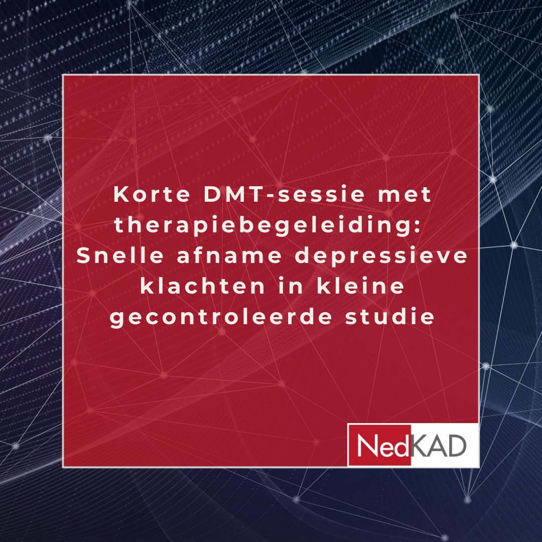 NedKAD tweet media