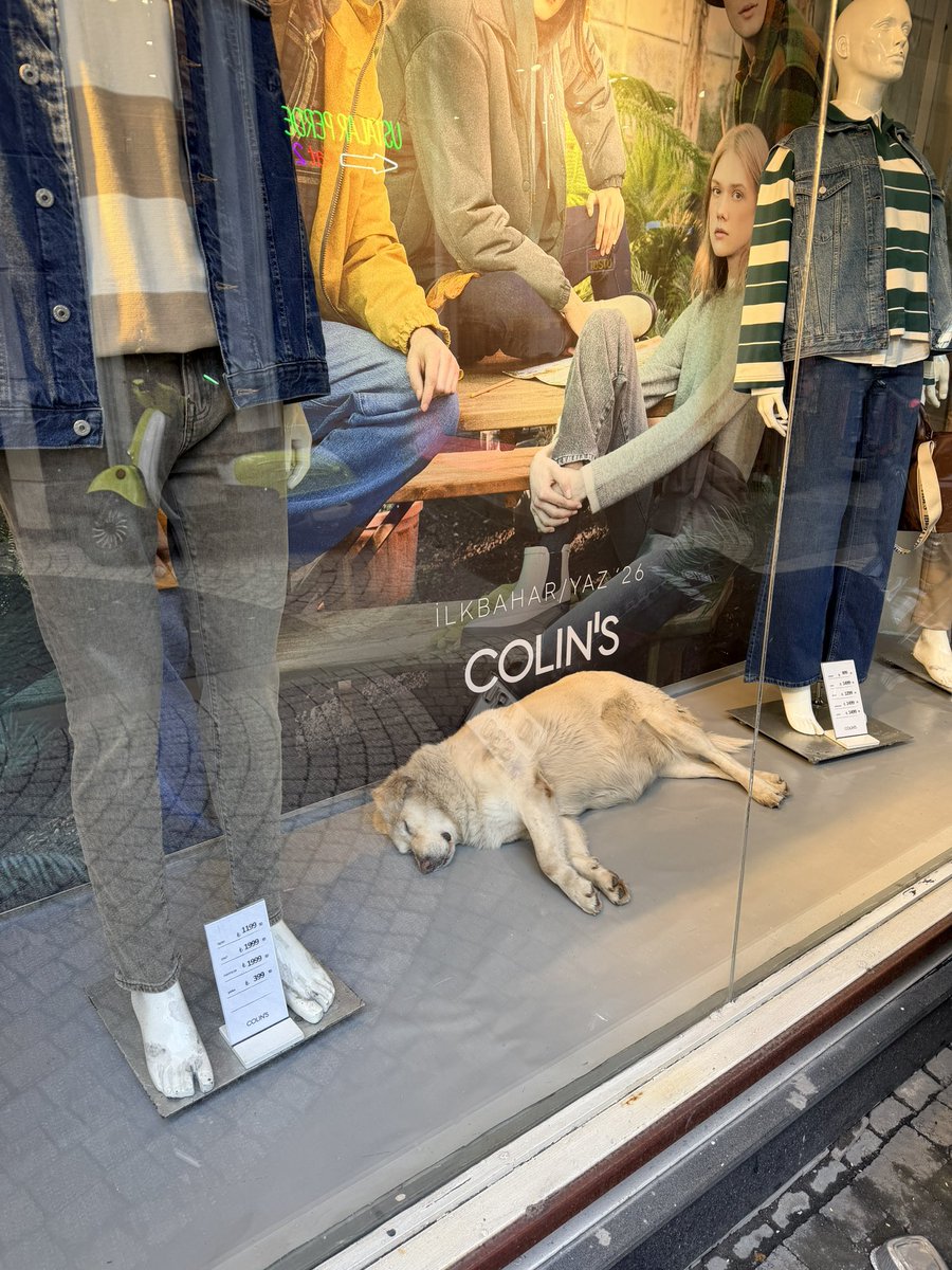 Bravo 👏🏻 <a href="/colins/">Colin's</a>