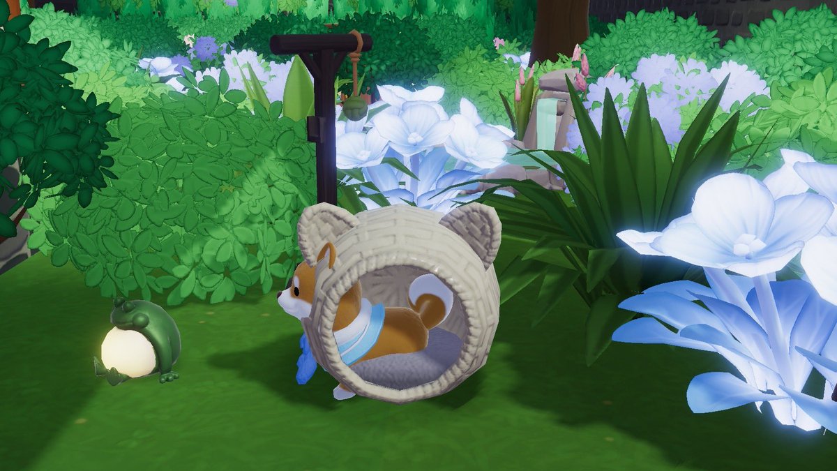 かずこです tweet media