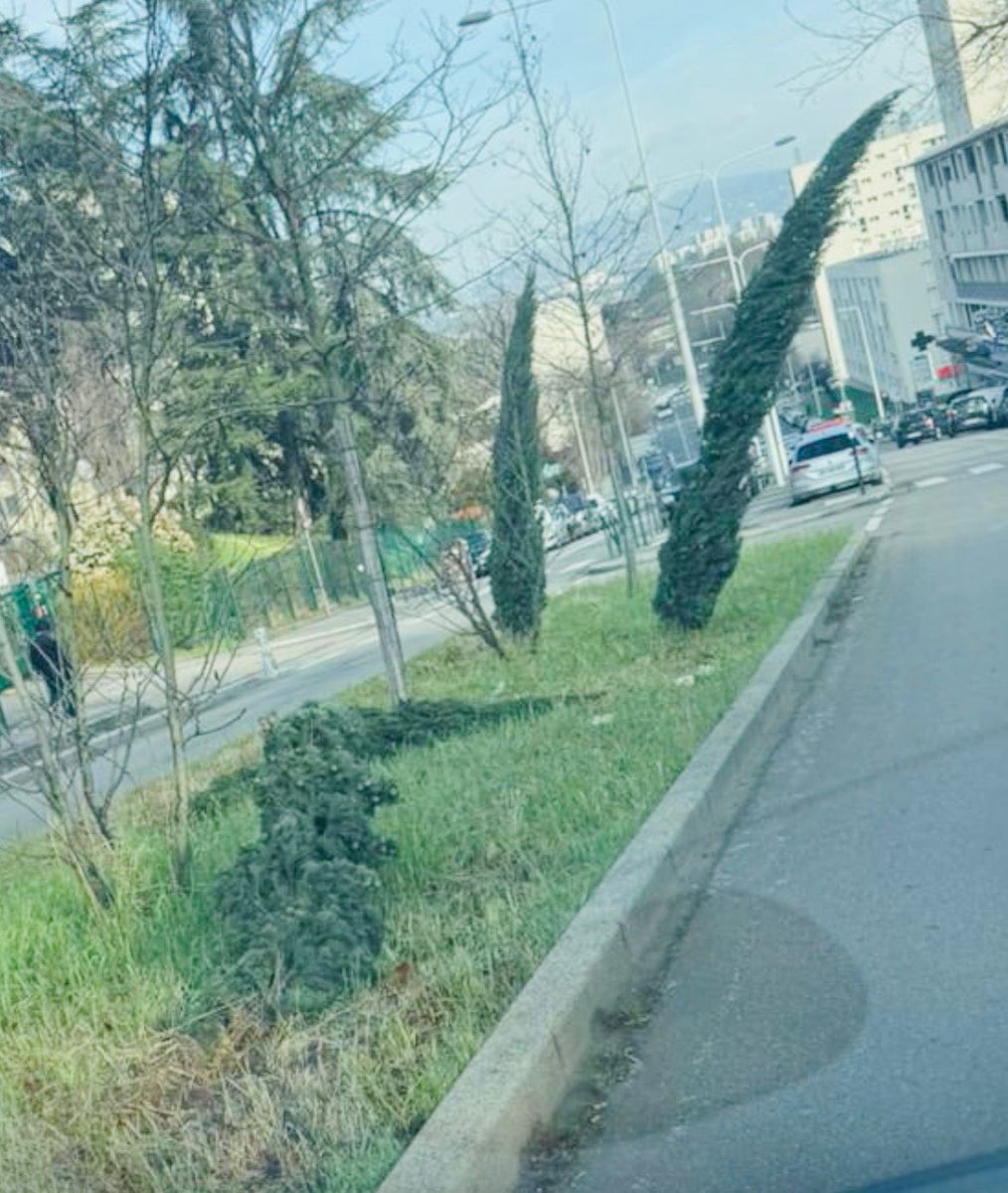 Cher <a href="/vincent_monot/">Vincent Monot</a>,
Avant d’annoncer de nouvelles plantations pour soigner votre image, occupez-vous des arbres déjà plantés.
Avenue Eisenhower (5e) : au sol depuis 3 semaines, sans replantage ni tuteur.

La vraie écologie, c’est l’entretien. <a href="/vertupaysages/">Robin Gervais</a> doit-il intervenir ?