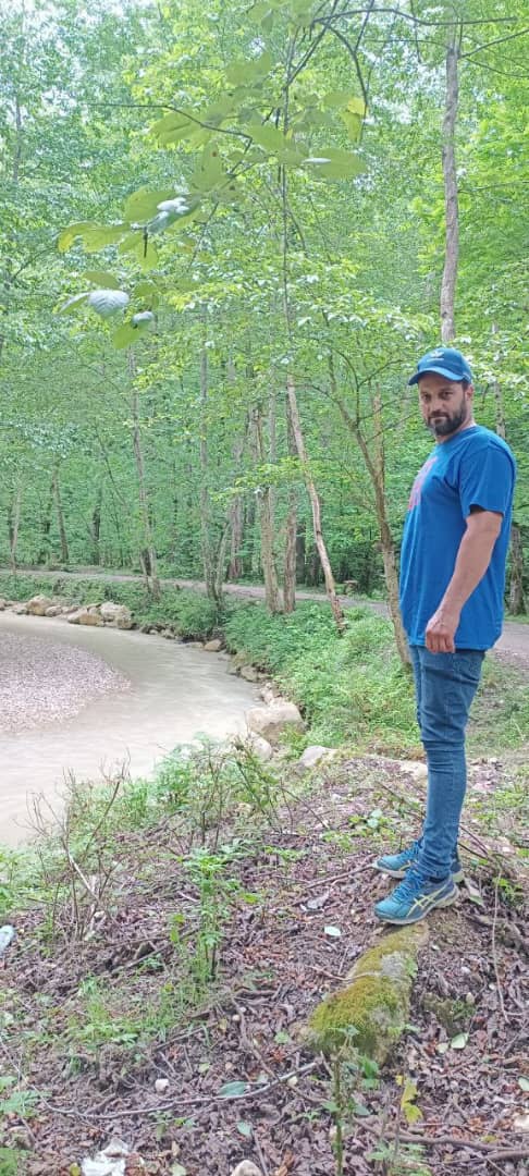 پیمان tweet media