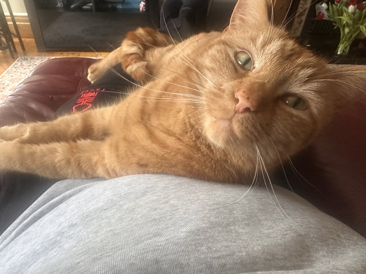 Steve Battlemuch tweet media