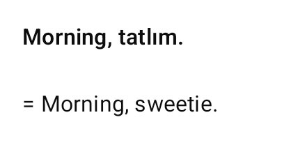 "มึงก็ทำๆไปเถอะ ตกงานอยู่ไม่ใช่หรอ แค่สอนภาษาให้ลูกเขาเอง"

"กูกลัวคุยไม่รู้เรื่องอะดิ ตุรกีมันแขกขาว ไม่ใช่ฝรั่งนะเว้ย"

"แต่เขาเป็นนักธุรกิจภาษาเขาก็ต้องระดับนึงป่าววะ ทำไปก่อน ไม่ดีค่อยออก"

"สวัสดีครั- good morning"
"Good morning, tatlım"
"ห้ะ"
"I just said good morning"