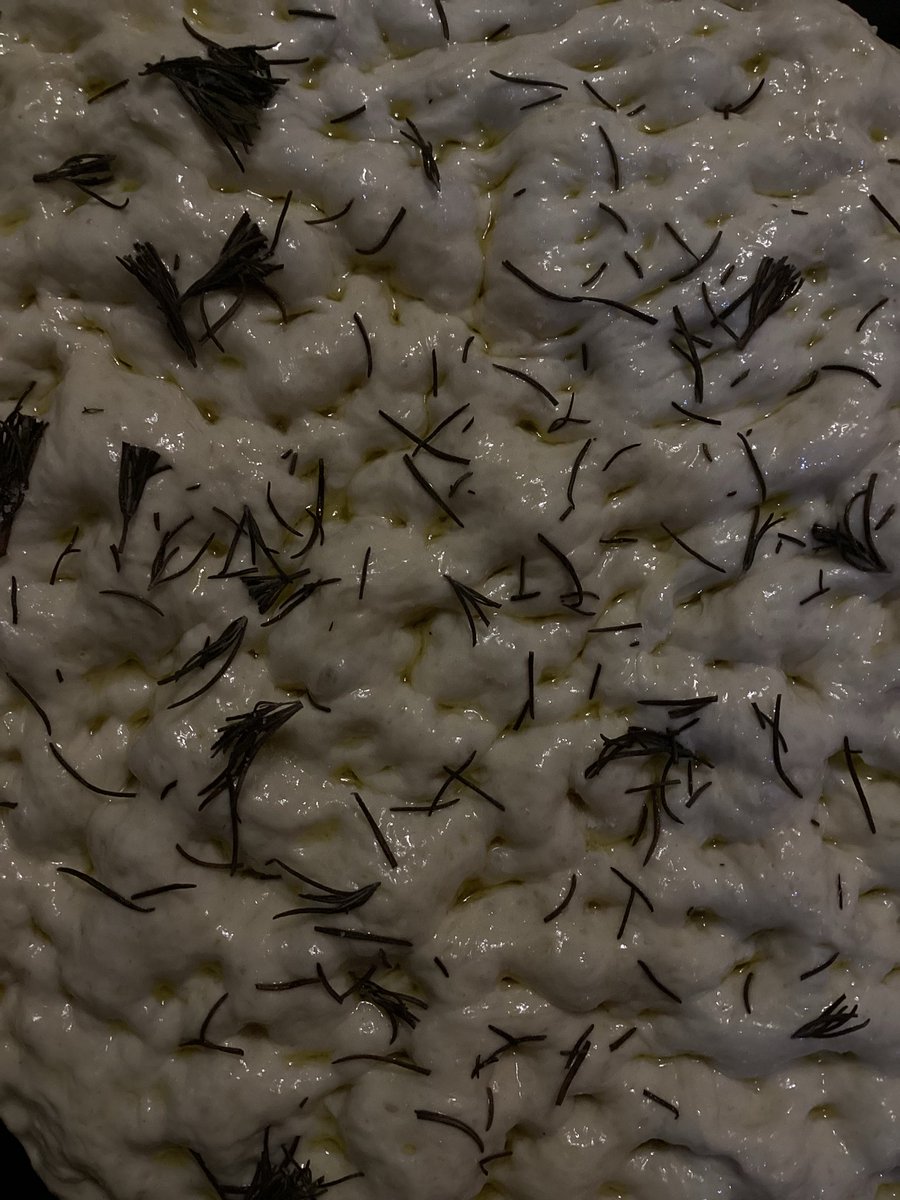 oyak’s🪗 🐾rest🐾 tweet media