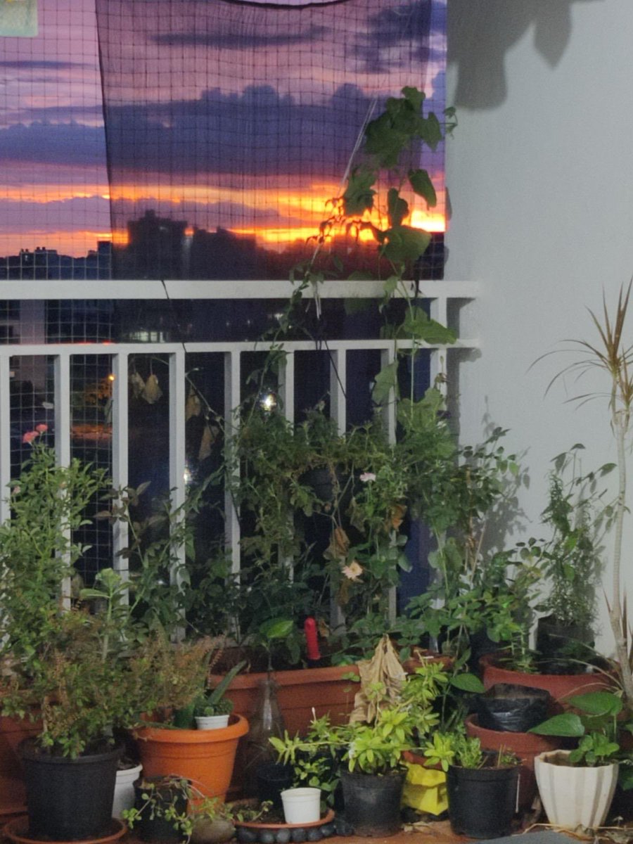 Neha Sharma tweet media